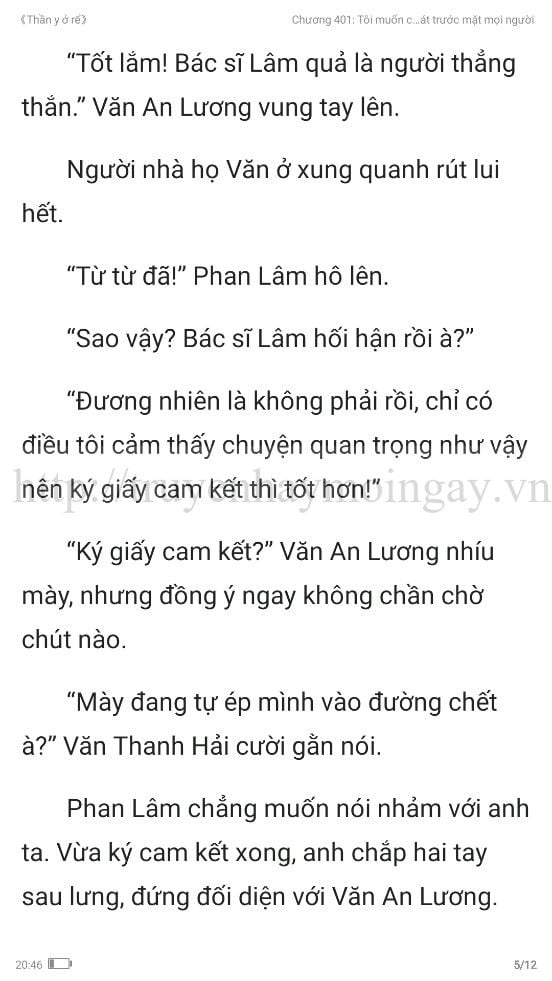 thần y ở rể