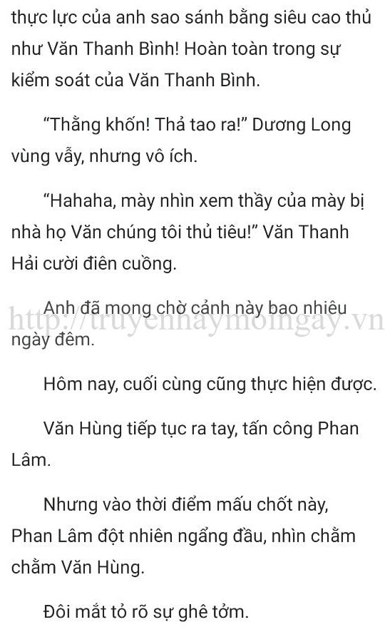 thần y ở rể