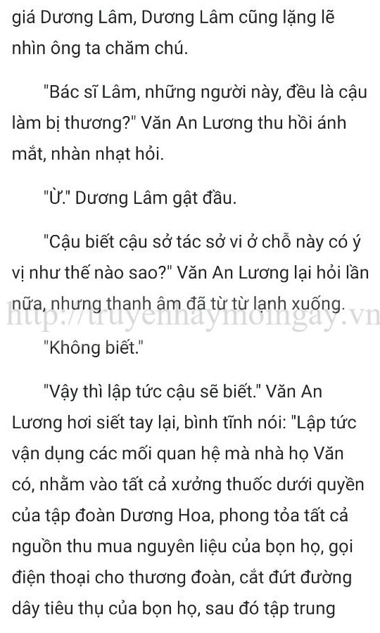 thần y ở rể