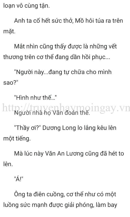 thần y ở rể