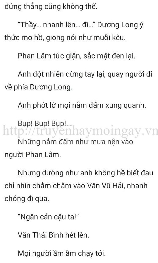 thần y ở rể