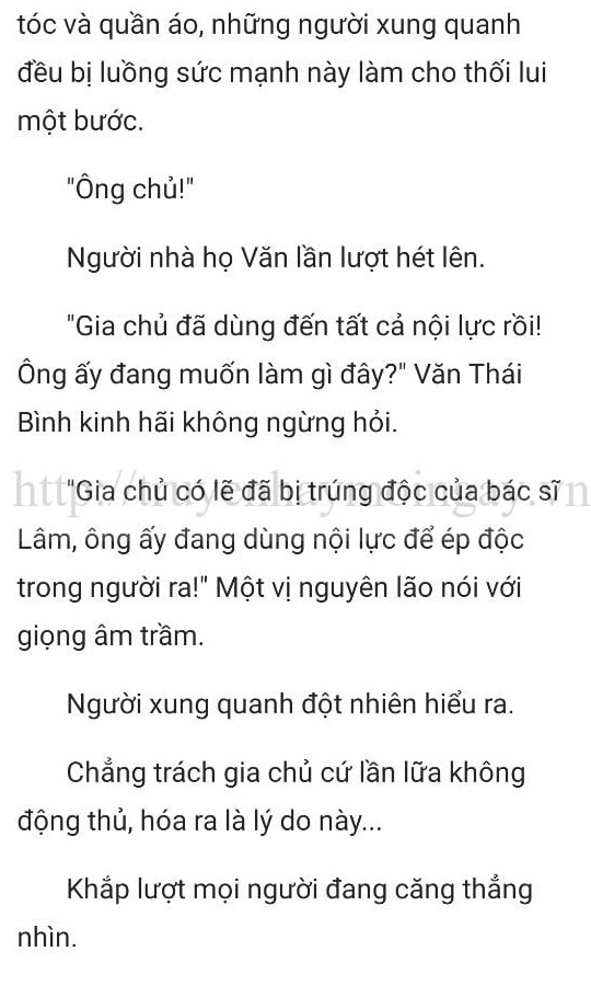 thần y ở rể