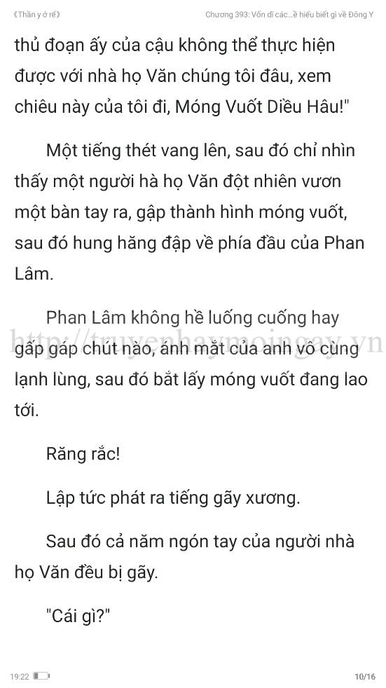 thần y ở rể