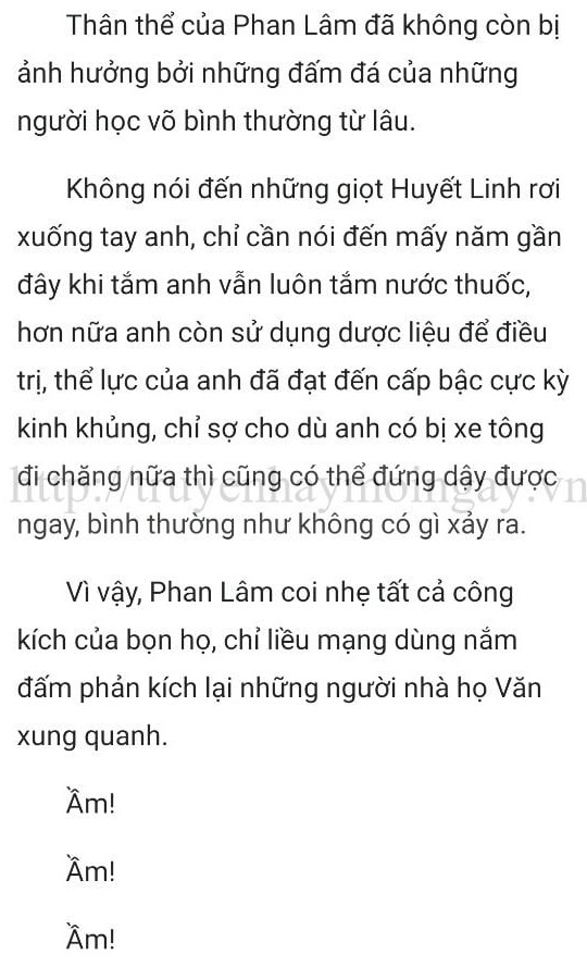 thần y ở rể