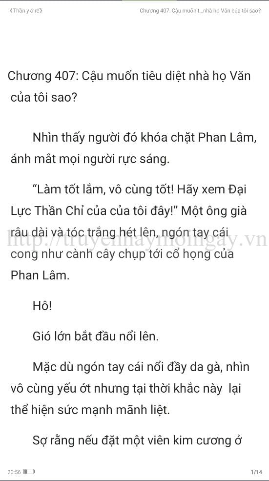 thần y ở rể