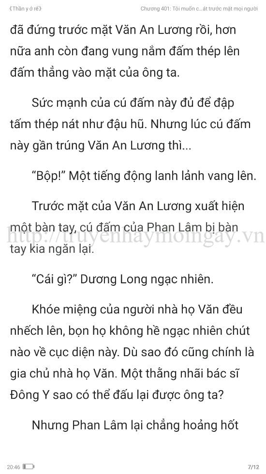 thần y ở rể