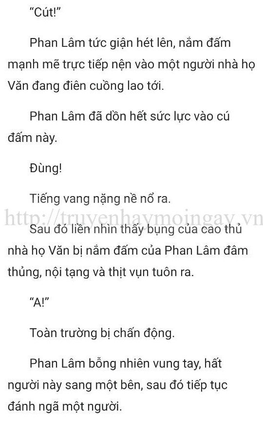 thần y ở rể