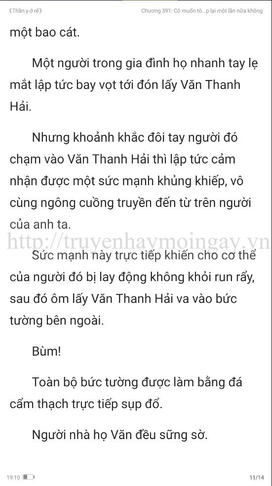 thần y ở rể