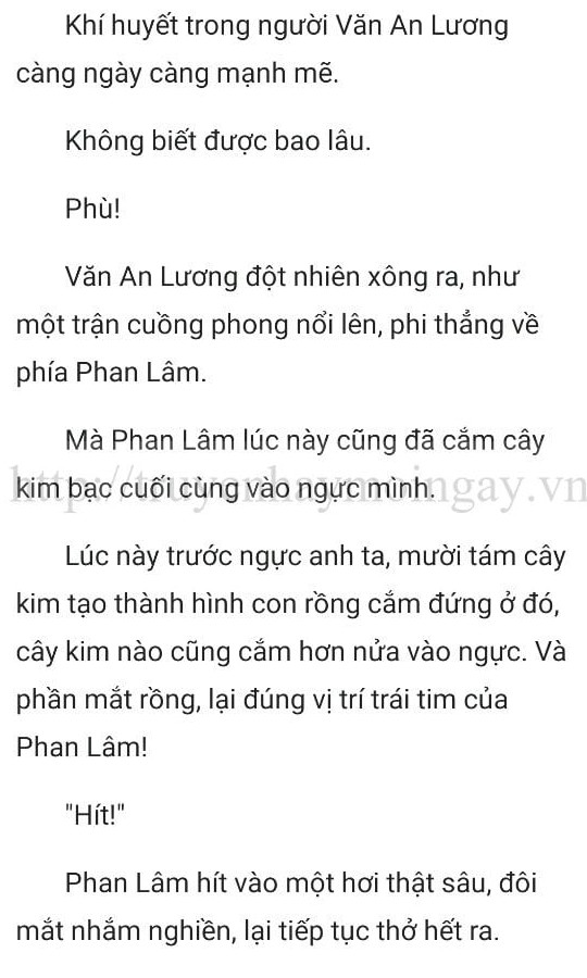 thần y ở rể