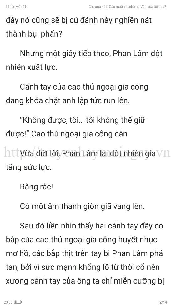 thần y ở rể