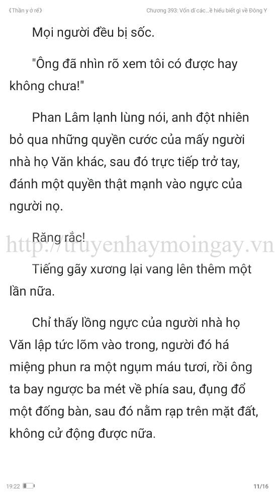 thần y ở rể