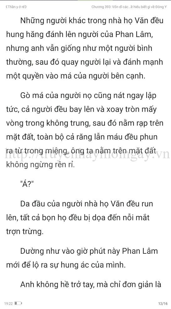 thần y ở rể