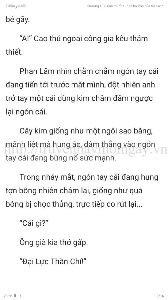 thần y ở rể