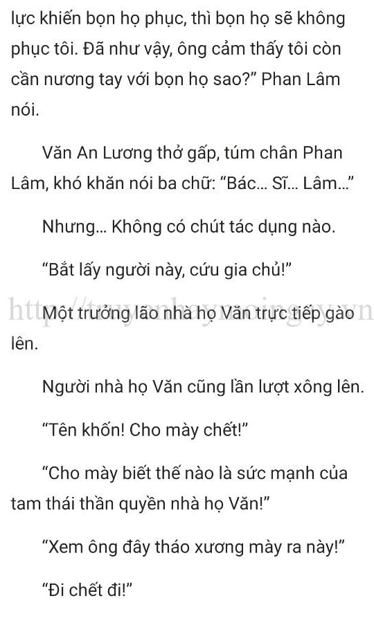 thần y ở rể