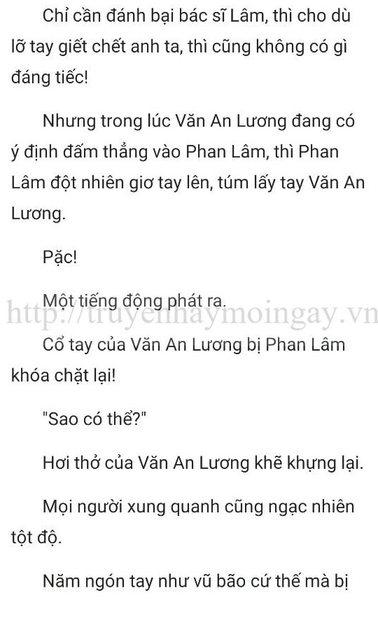 thần y ở rể