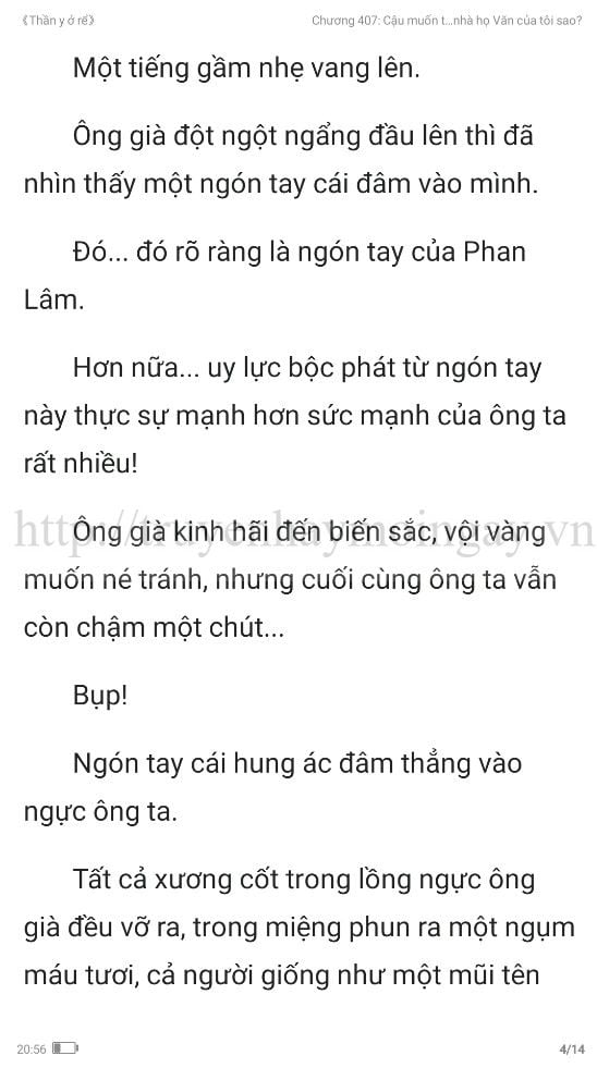 thần y ở rể