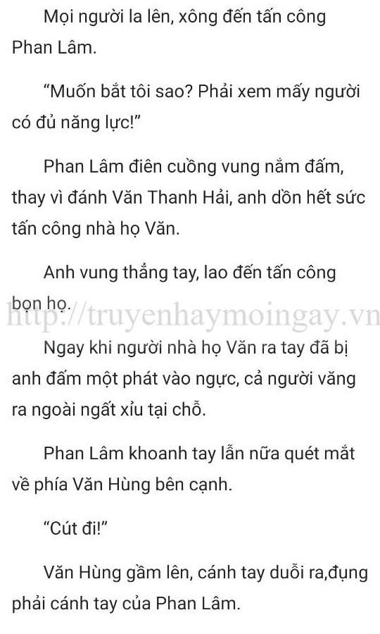 thần y ở rể