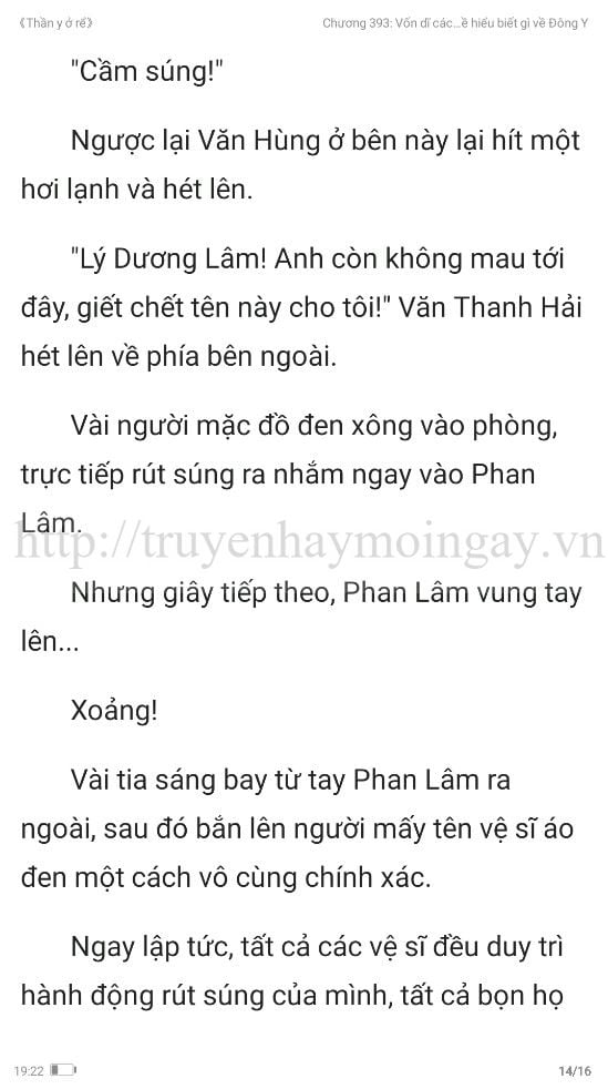 thần y ở rể