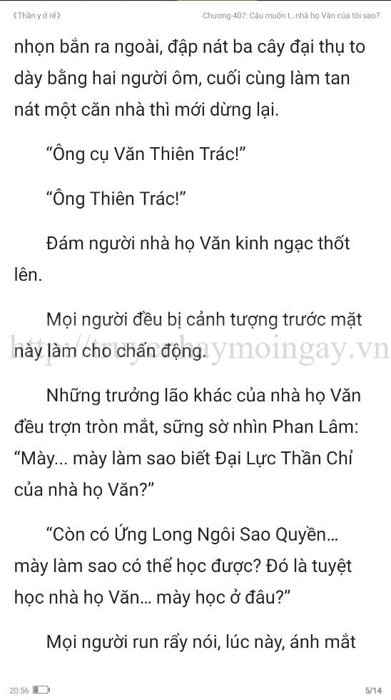 thần y ở rể