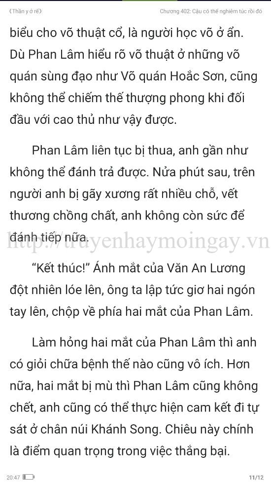 thần y ở rể