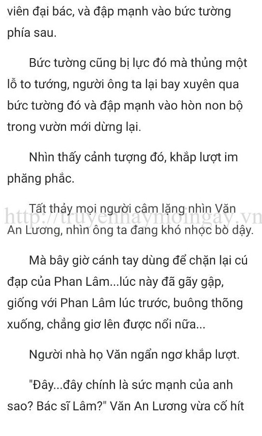 thần y ở rể