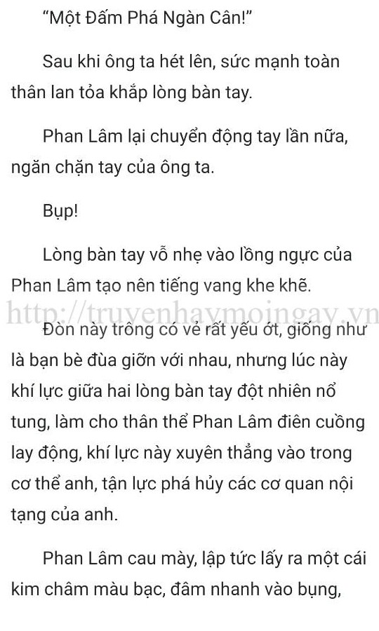 thần y ở rể