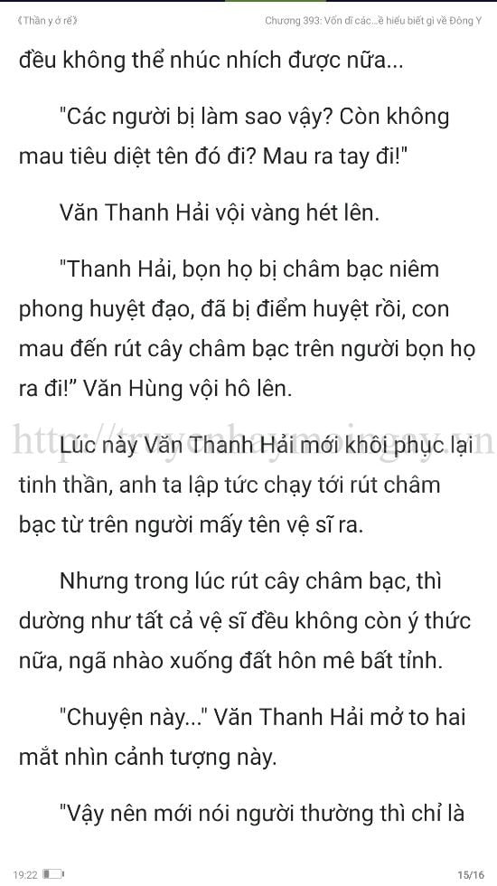 thần y ở rể