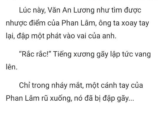 thần y ở rể