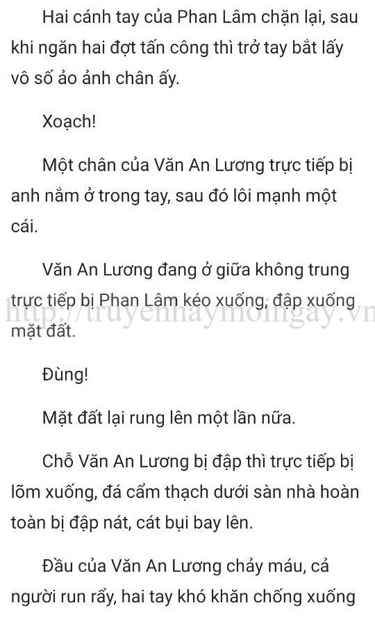 thần y ở rể