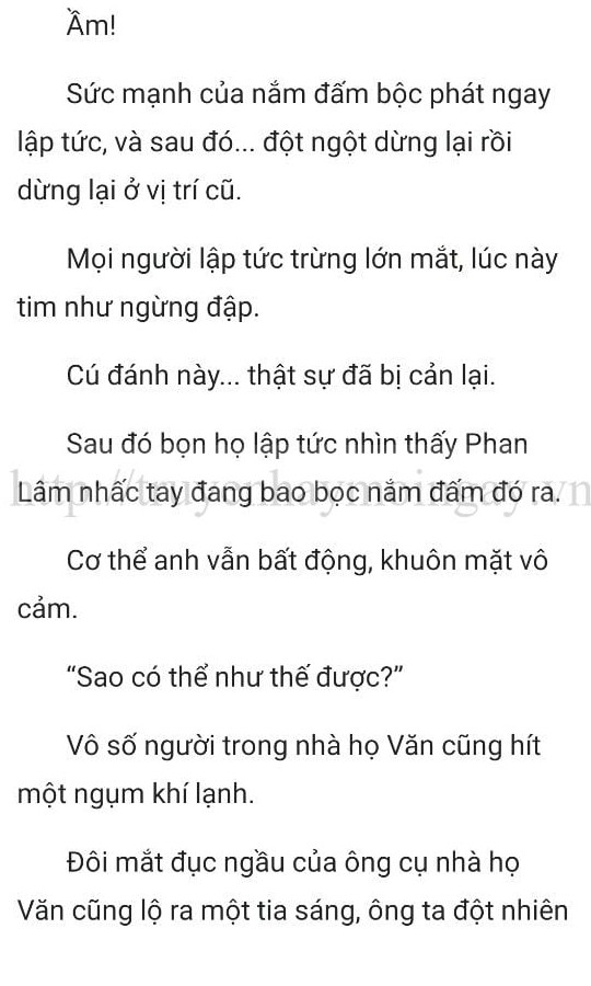 thần y ở rể