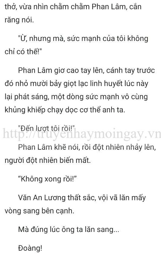 thần y ở rể