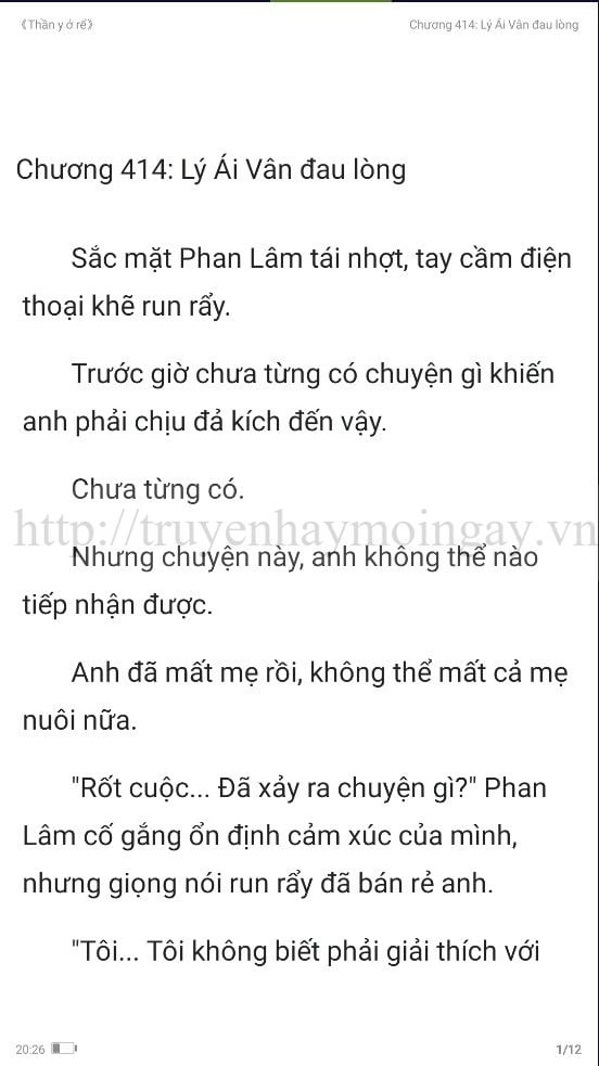 thần y ở rể