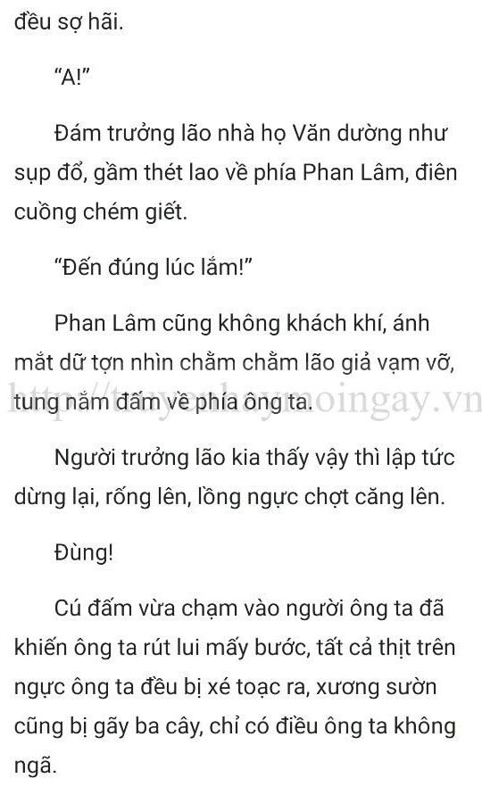 thần y ở rể