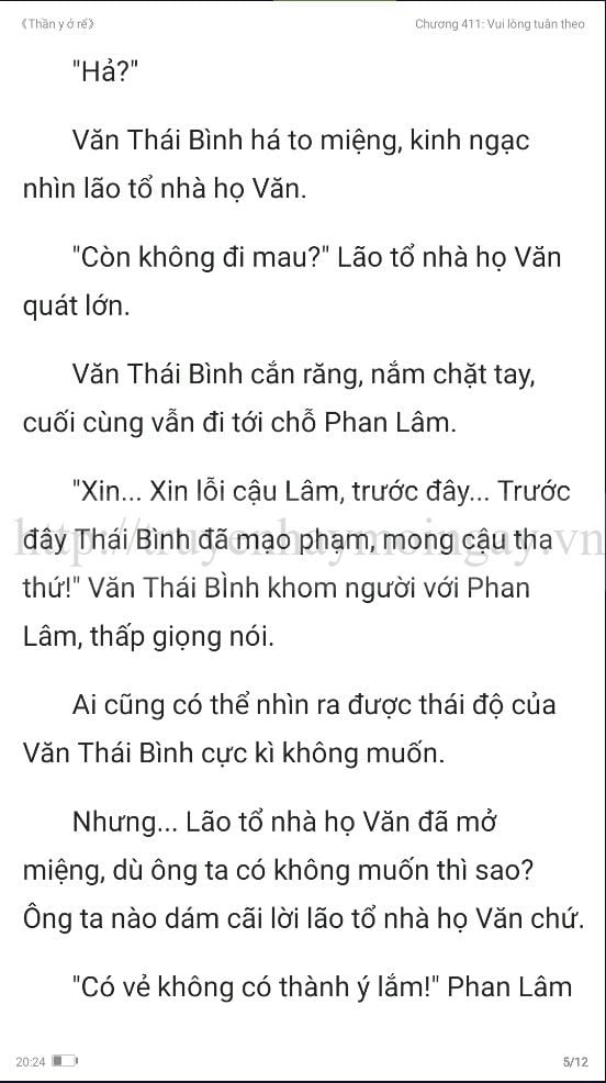 thần y ở rể