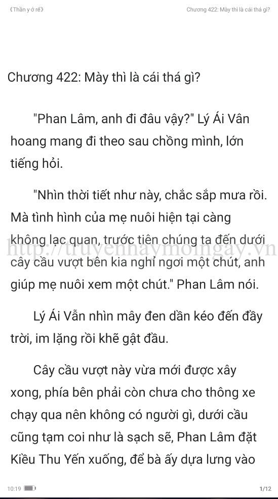 thần y ở rể