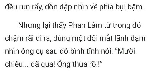 thần y ở rể