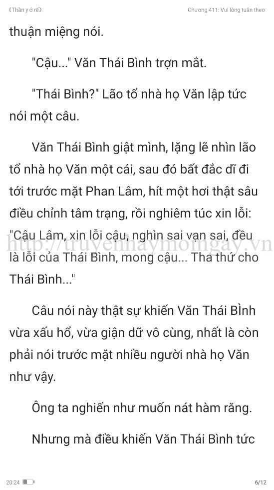 thần y ở rể