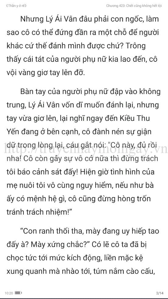 thần y ở rể