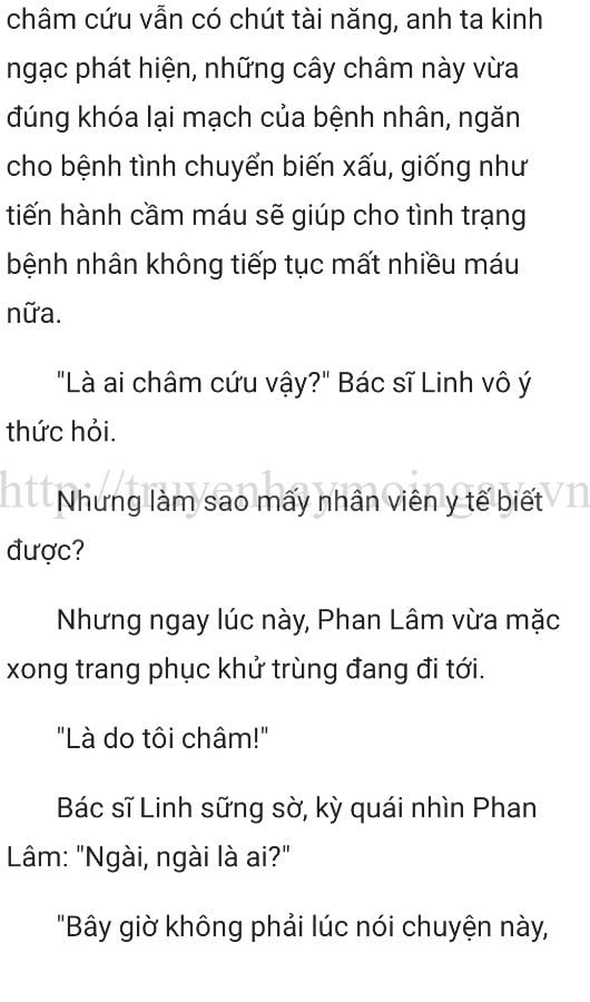 thần y ở rể