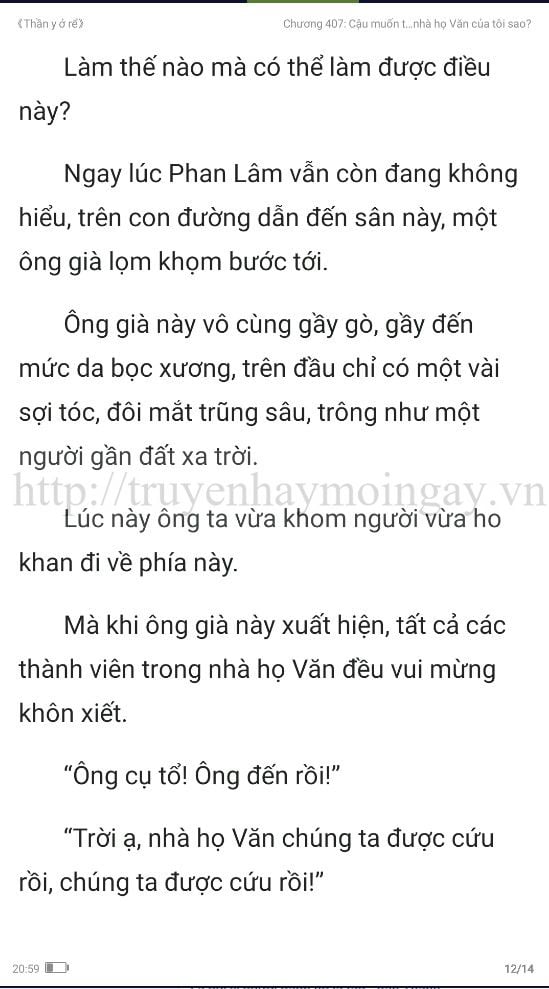 thần y ở rể