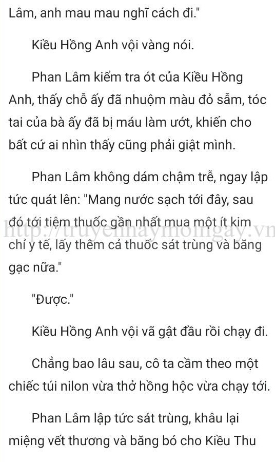 thần y ở rể