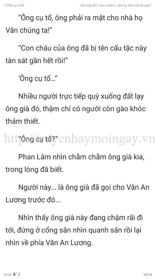 thần y ở rể