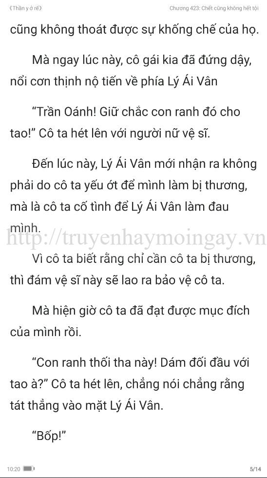 thần y ở rể