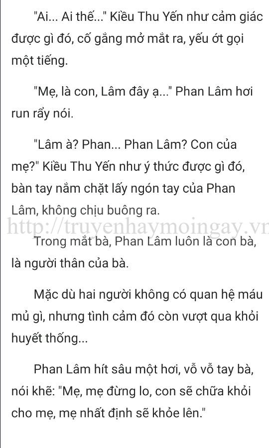 thần y ở rể