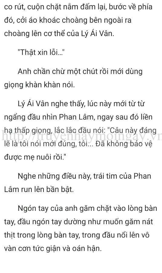 thần y ở rể