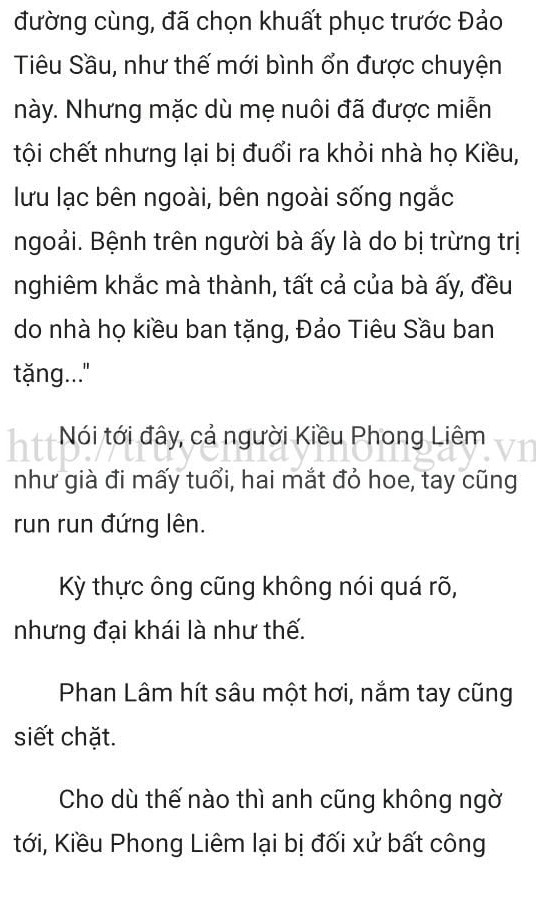 thần y ở rể