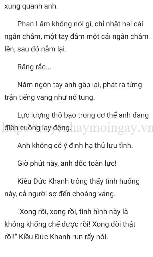 thần y ở rể