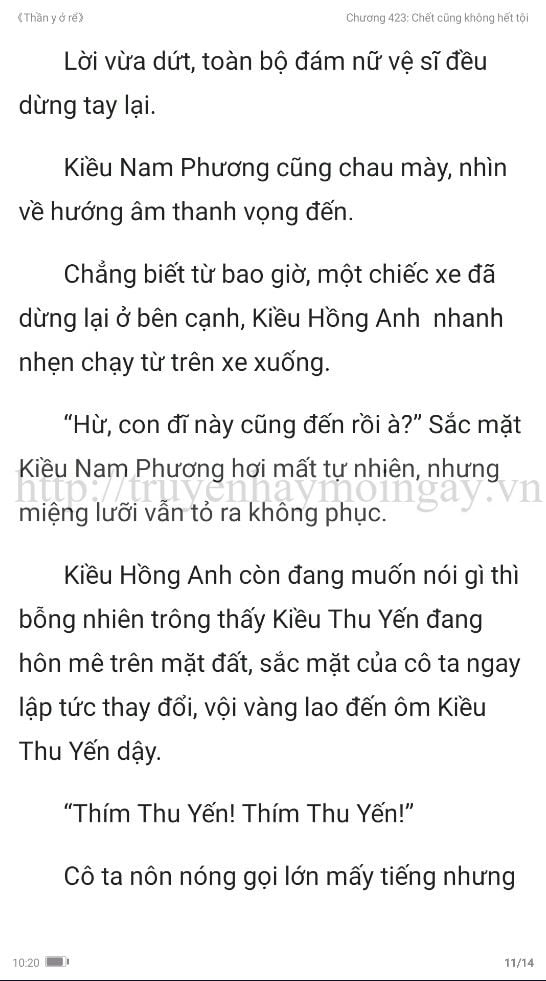 thần y ở rể