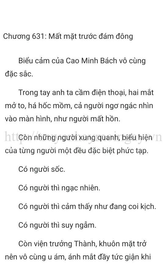 thần y ở rể