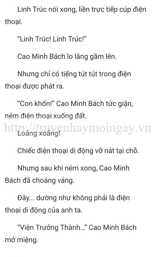 thần y ở rể